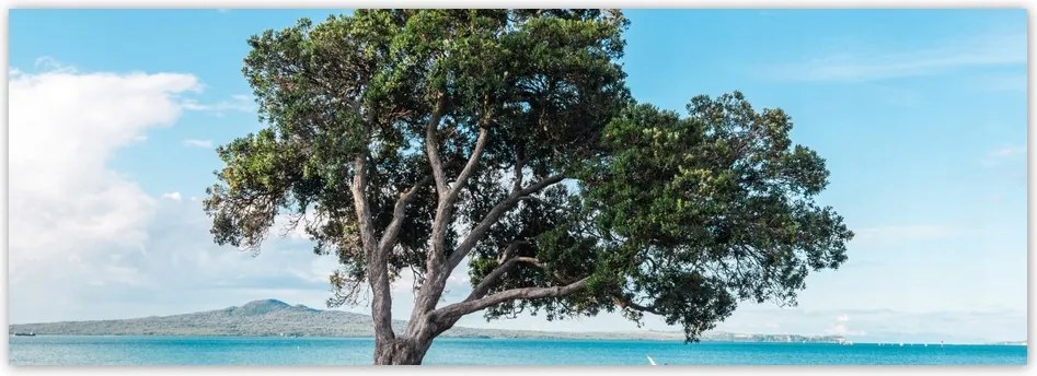 Fotótapéta flizelina 624x219 Magányos fa