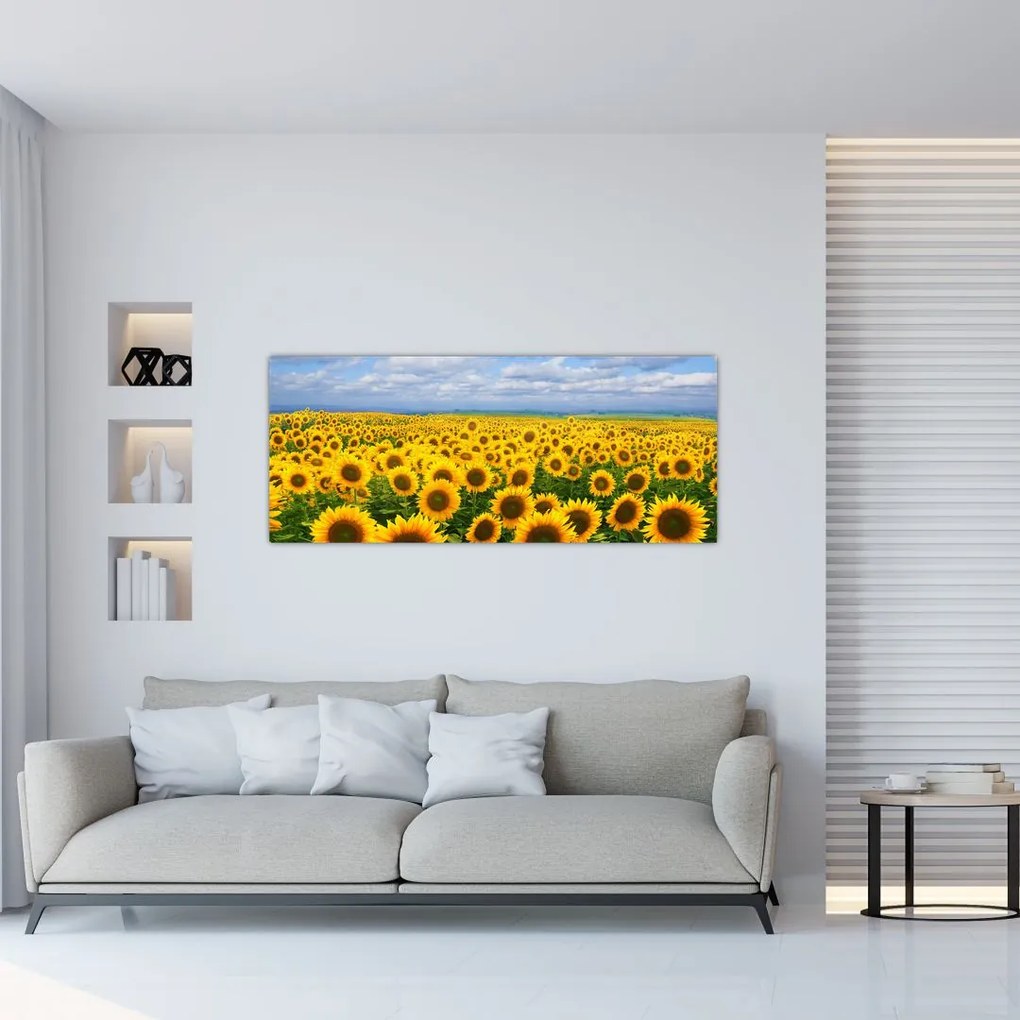 A napraforgó mező képe (120x50 cm)