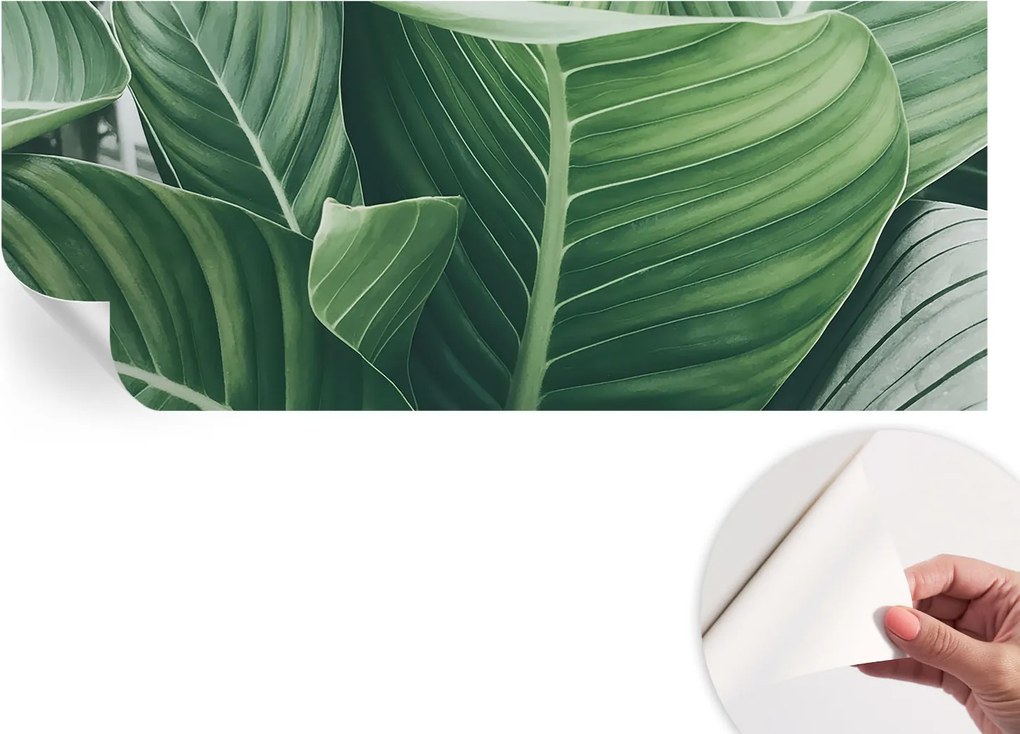 Öntapadós Dekoratív Fotótapéta Hálószobába Zöld nyugalom 250x104 cm