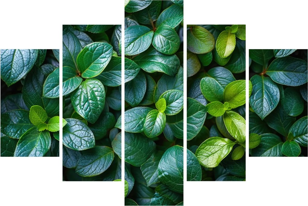 Kép - Zöld növények (150x105 cm)