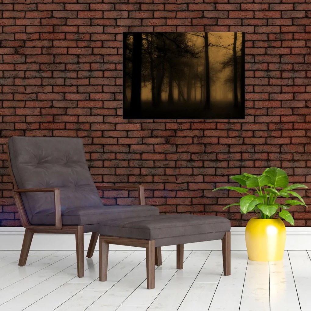 Kép - Sötét erdő (70x50 cm)
