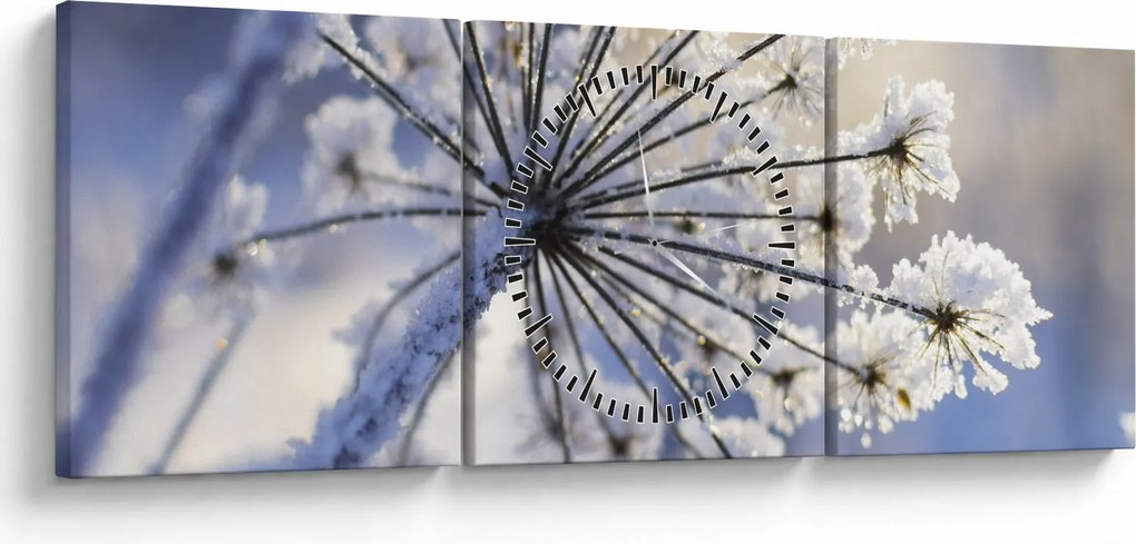 Kép - Fagyott virág (órával) (90x30 cm)