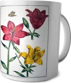 Bögre Liliom piros Maria Sibylla Merian