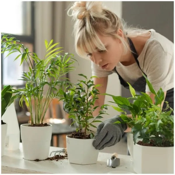 LED dimmelhető asztali lámpa növényneveléshez VERDI LED/12W/230V 4500K