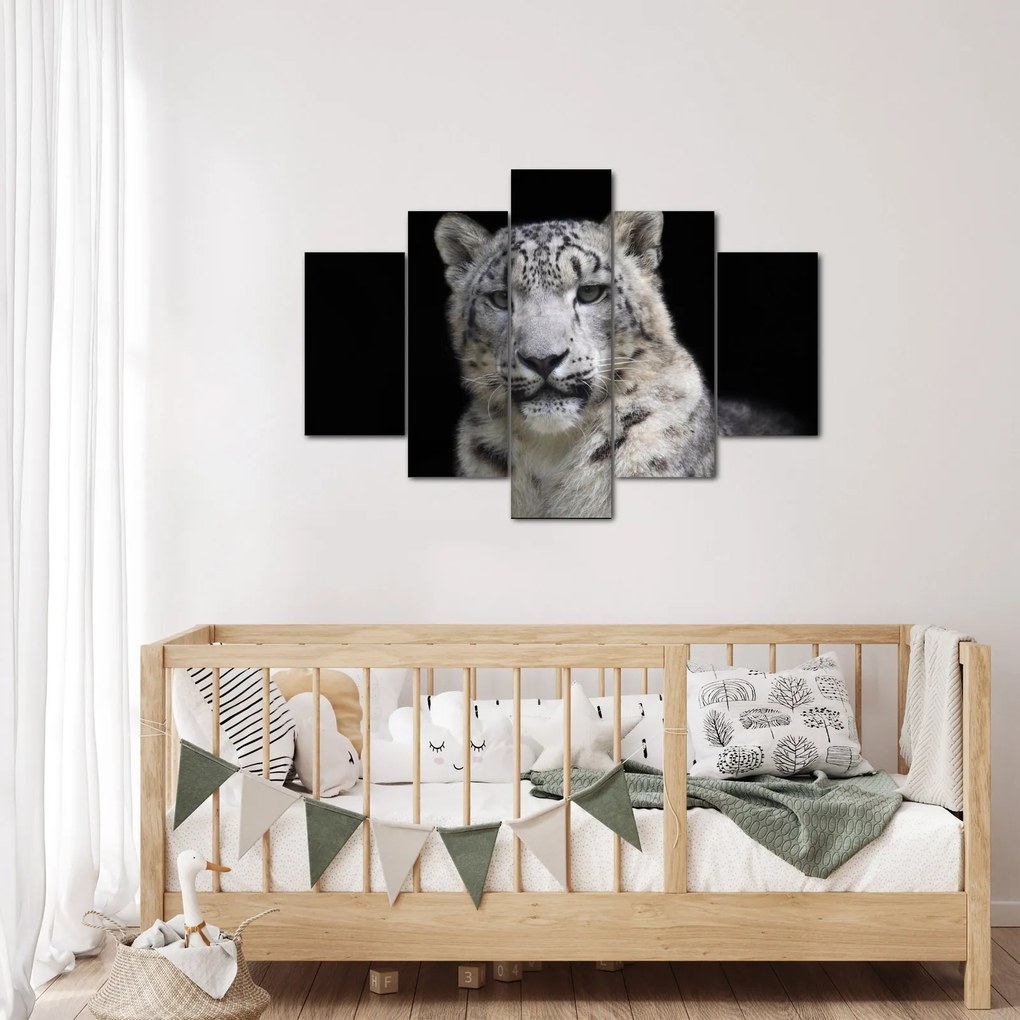 Kép - Snow Leopard (150x105 cm)