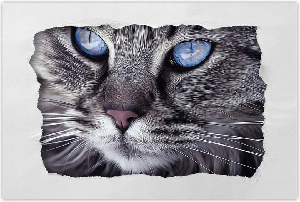 Poszterek 120x80 Cica Cicák