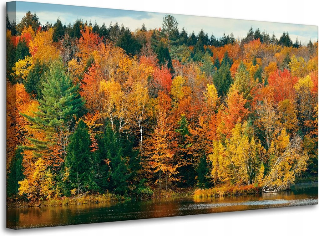 Vászonkép Színes Levelek Fák Ősz Természet 100x60 cm