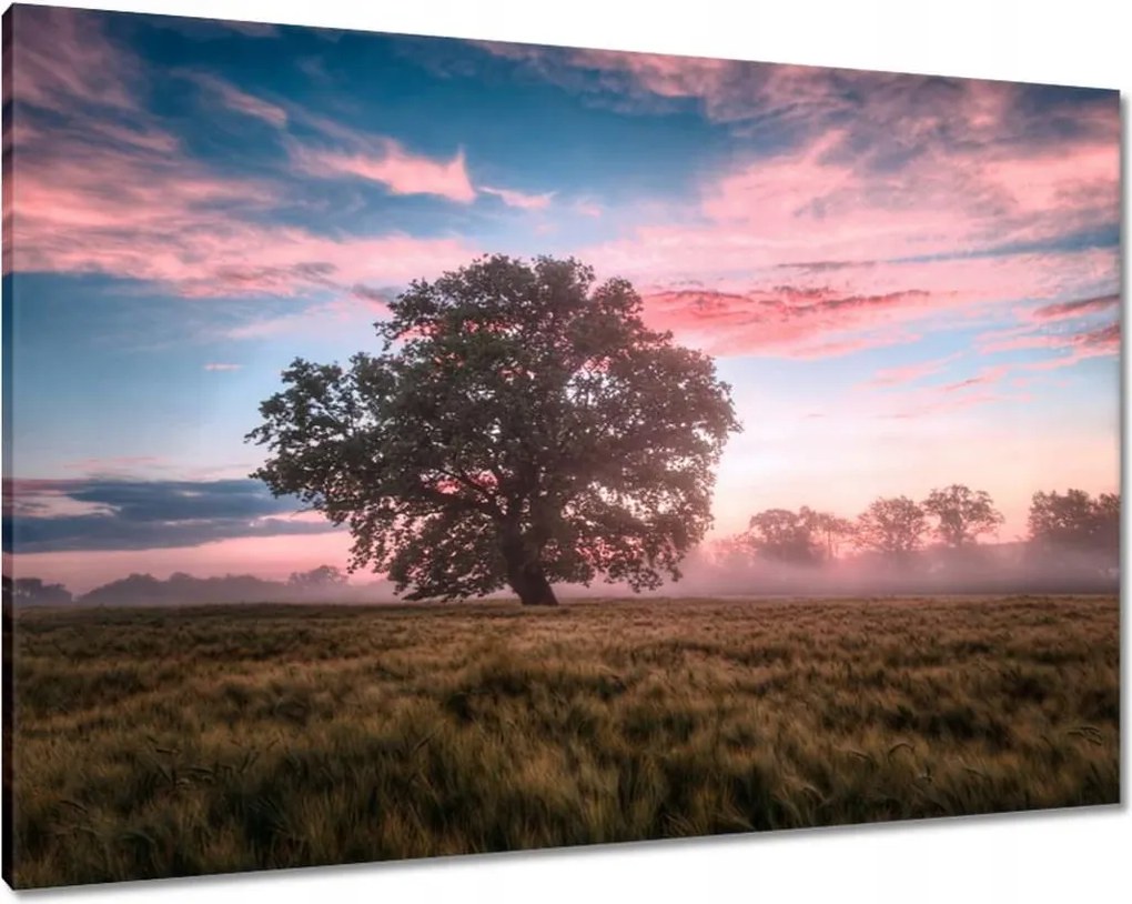 Vászonkép 100x70 Candy tájkép Köd