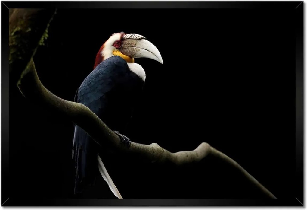 Poszterek keretben 60x40 Papagáj az ágon