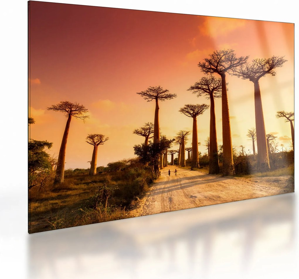 Üveg kép - Naplemente a Baobab Alley-ben (70x50 cm)