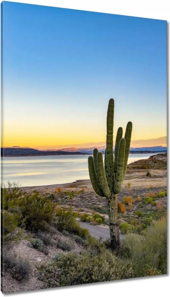 Vászonkép 80x120 Kaktuszok a sivatagban