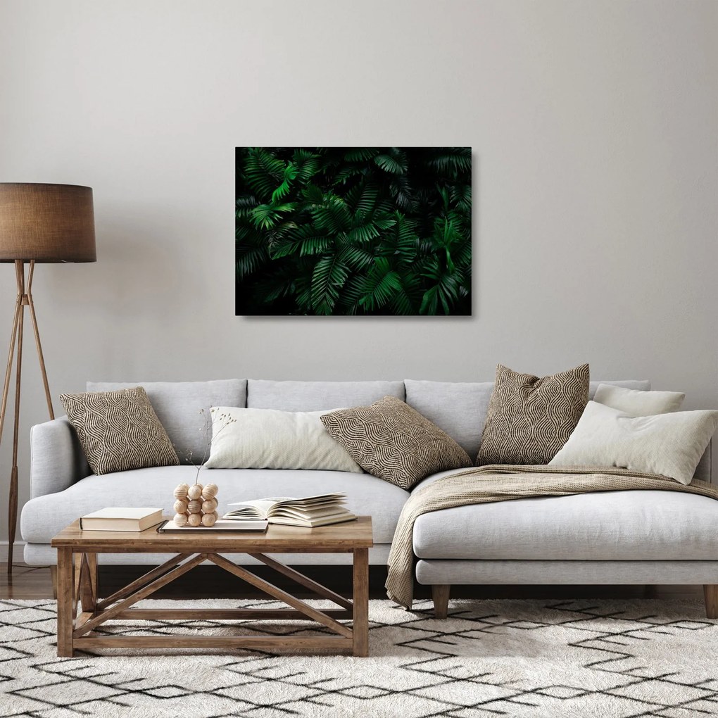 Kép - trópusi páfrány (üvegen) (70x50 cm)