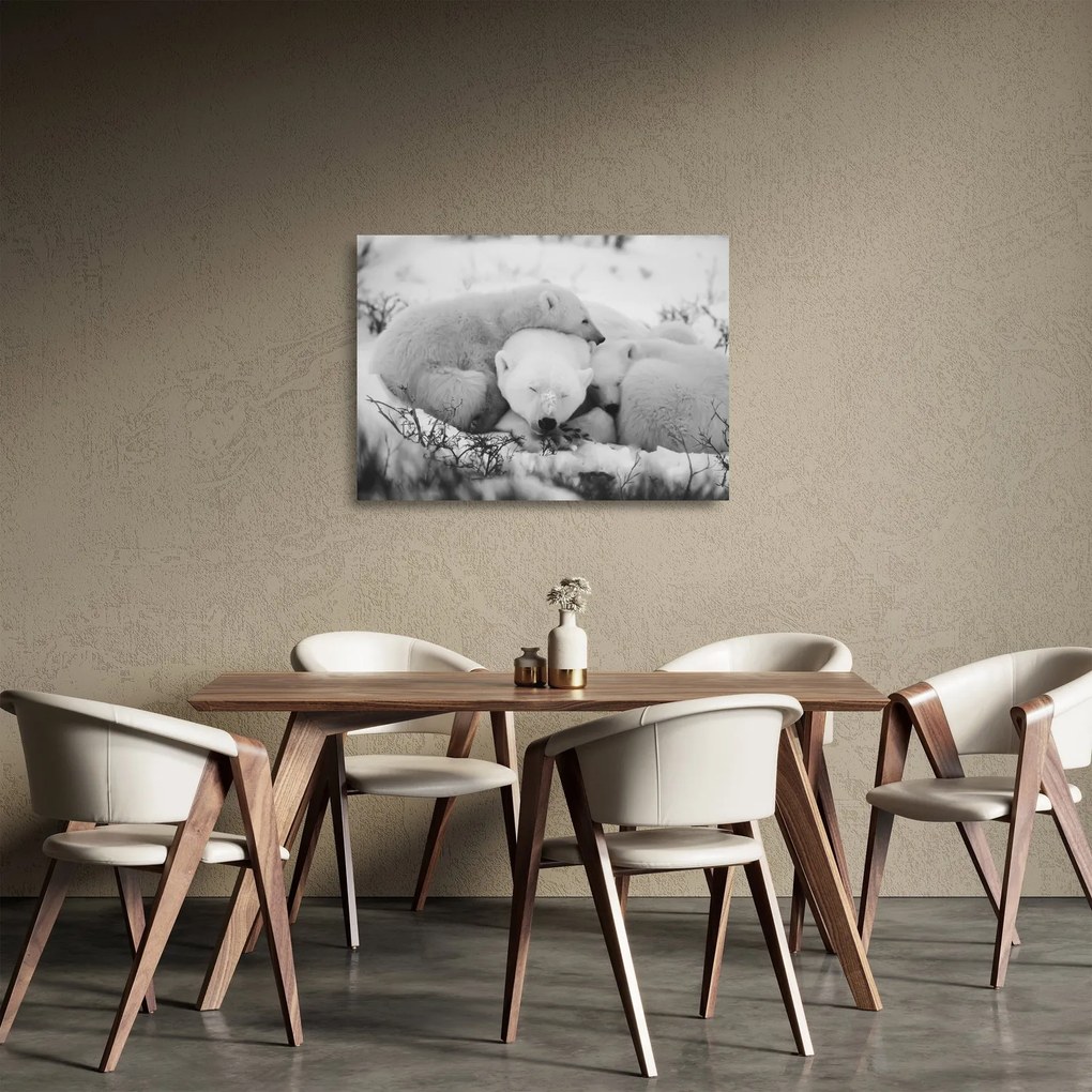 Üveg kép - Jegesmedvék (70x50 cm)