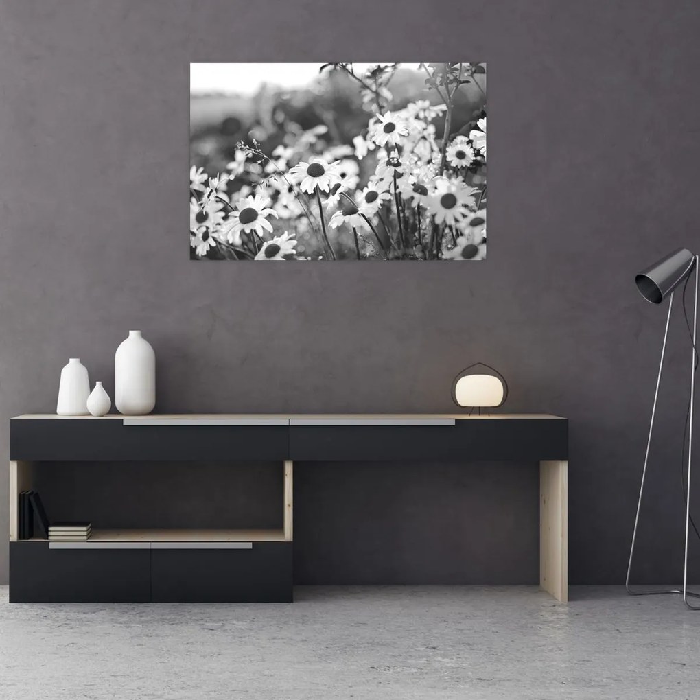 Kép - Százszorszépek (90x60 cm)