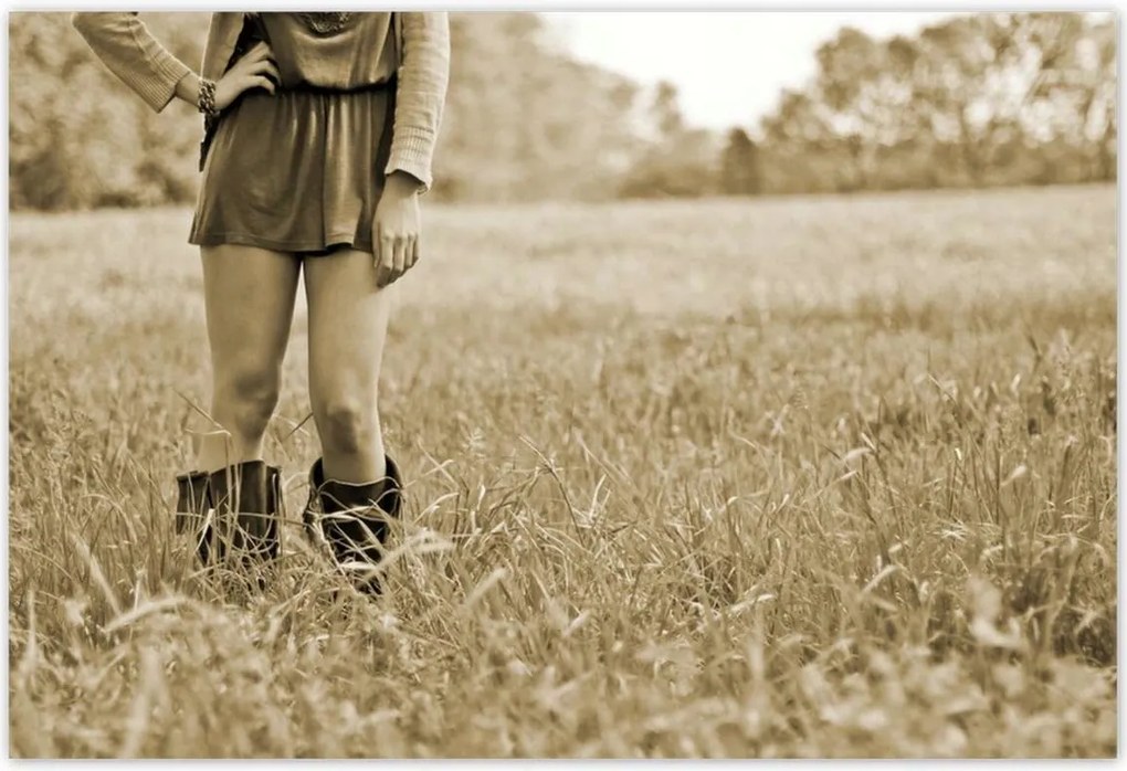 Poszterek 200x135 Lány a réten Sephia