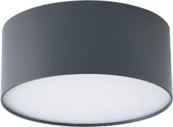 Brilagi - LED fürdőszobai mennyezeti lámpa FORIS LED/20W/230V átm. 15 cm antracit IP44