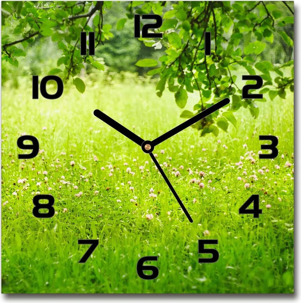 Csendes üveg falióra Zöld rét 30x30cm