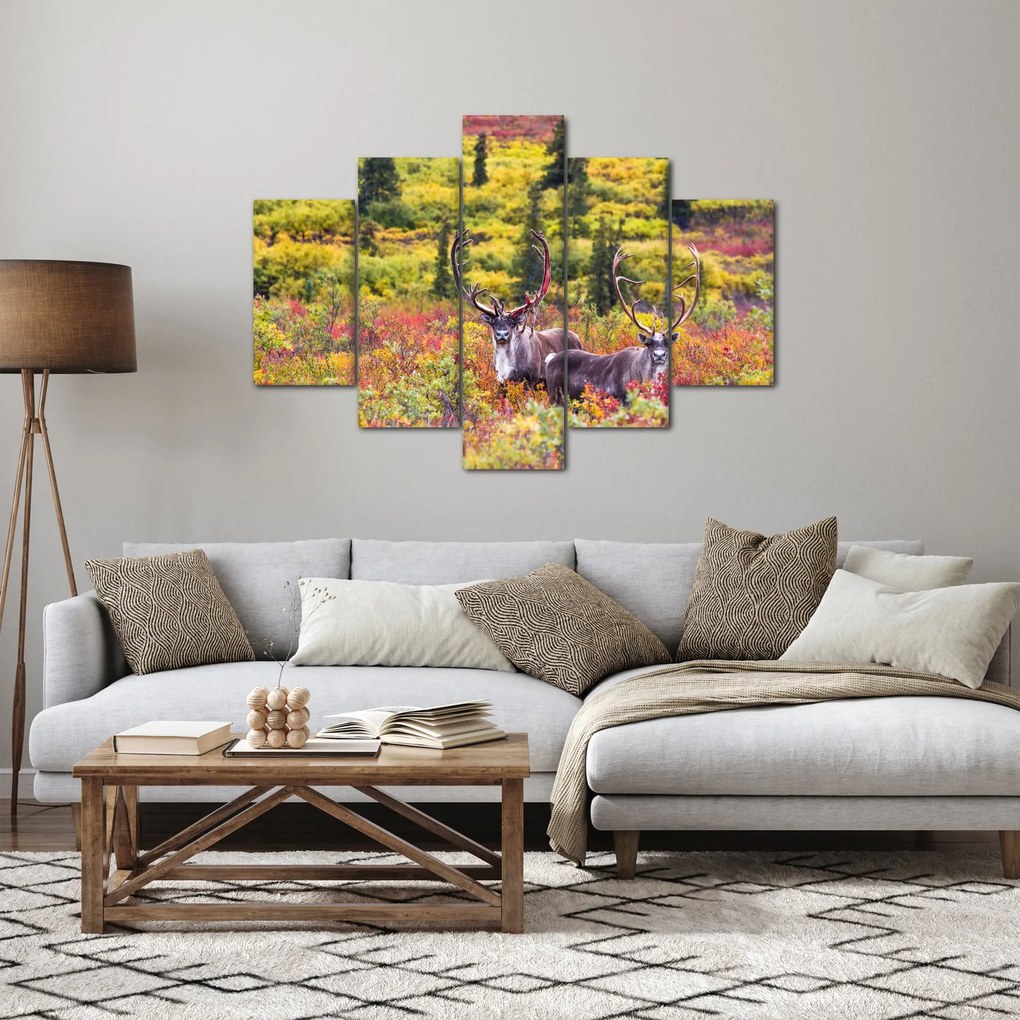 Kép - Caribou, Alaszka (150x105 cm)