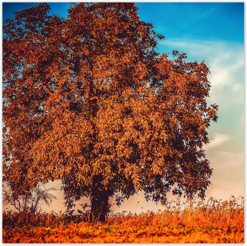 Poszterek 140x140 Őszi színek Tájkép