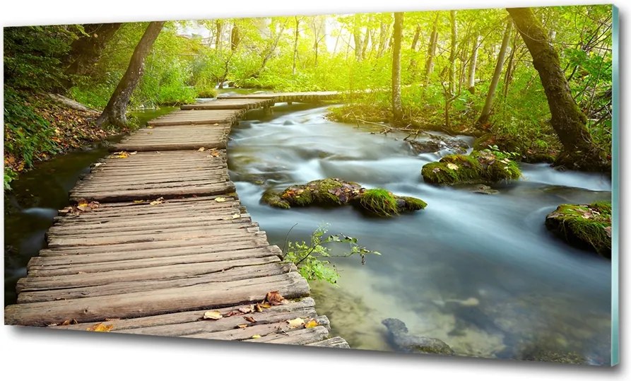 Fotótapéta üvegfalra Ösvény az erdőben 125x50