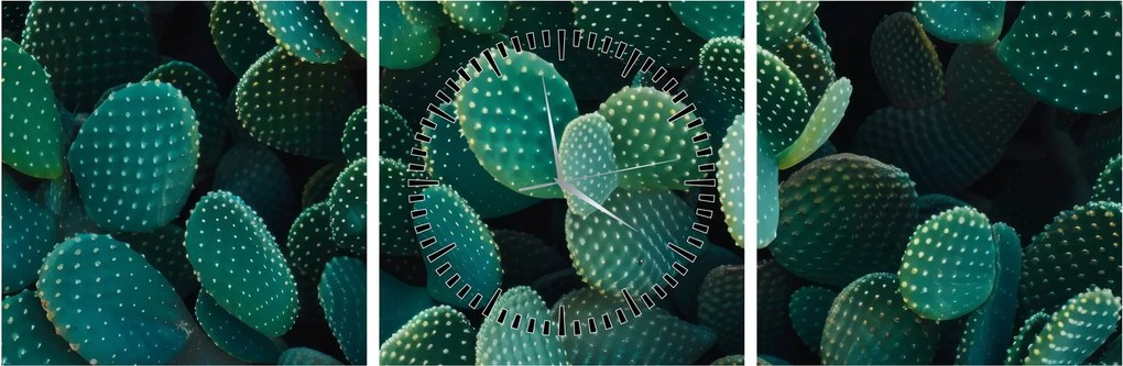 Kép - Opuntia (órával) (90x30 cm)