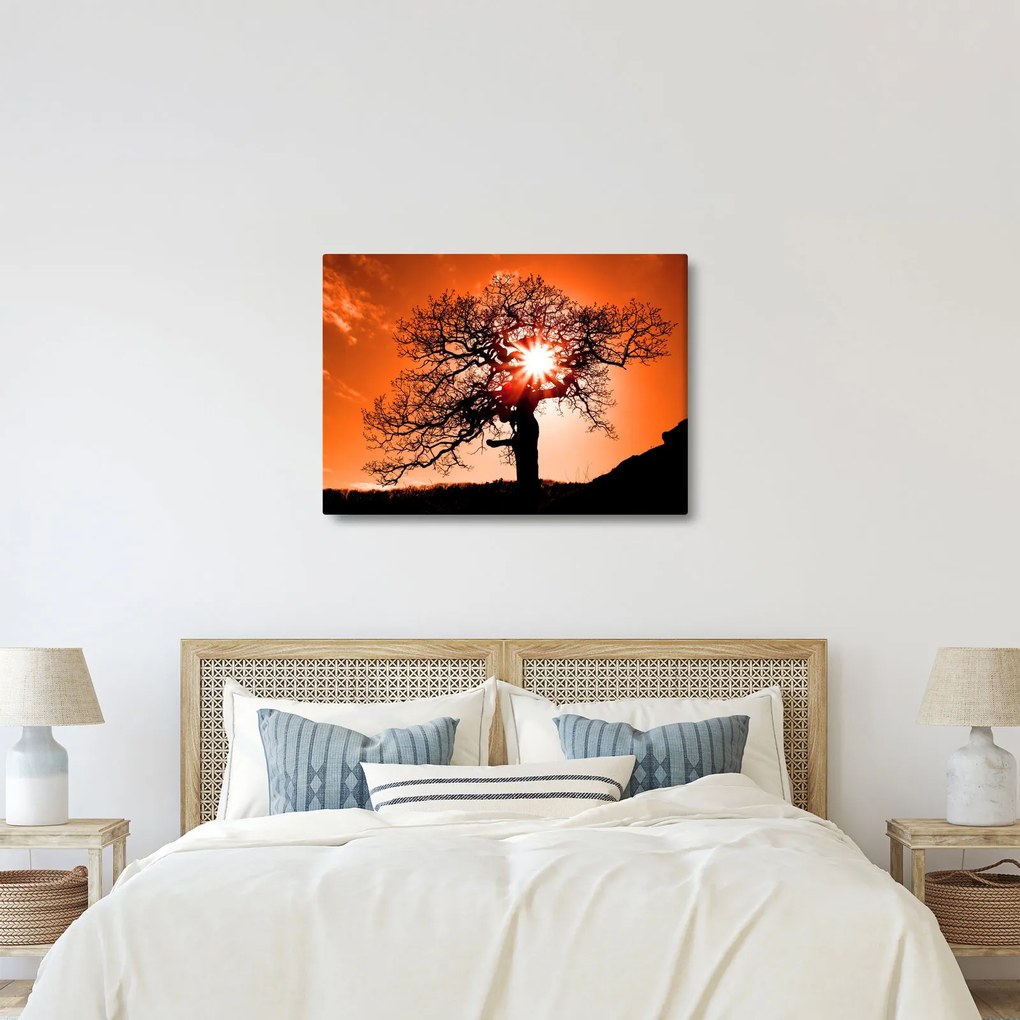 Kép - Tölgy napnyugtakor (70x50 cm)
