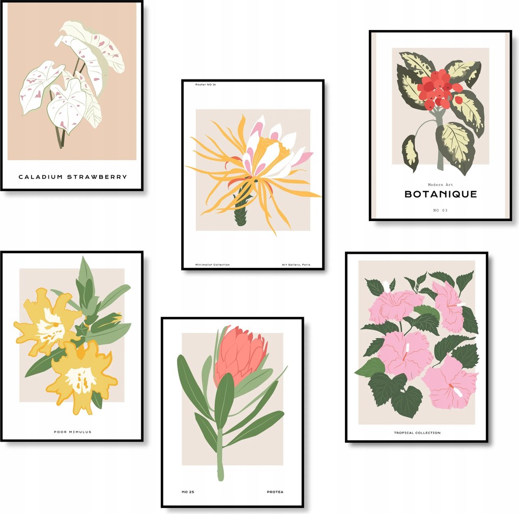 Virágok Poszterek Poszter Szett 6 db-os Konyhai Poszter A3 *Sok minta*