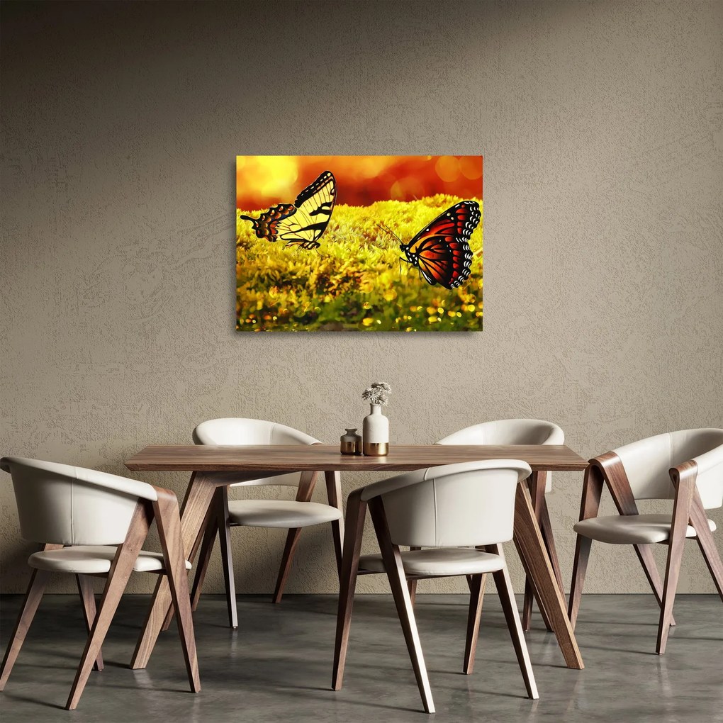 Pillangó képe (üvegen) (70x50 cm)