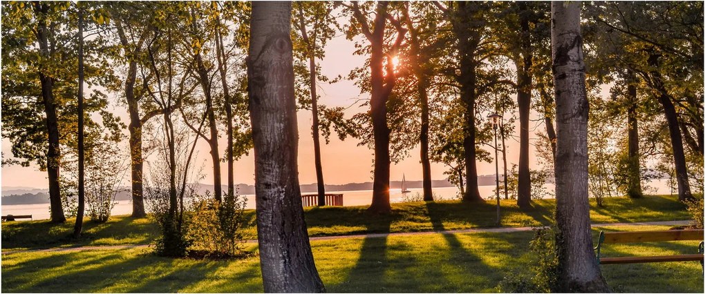 Fák a tó mellett képe (120x50 cm)