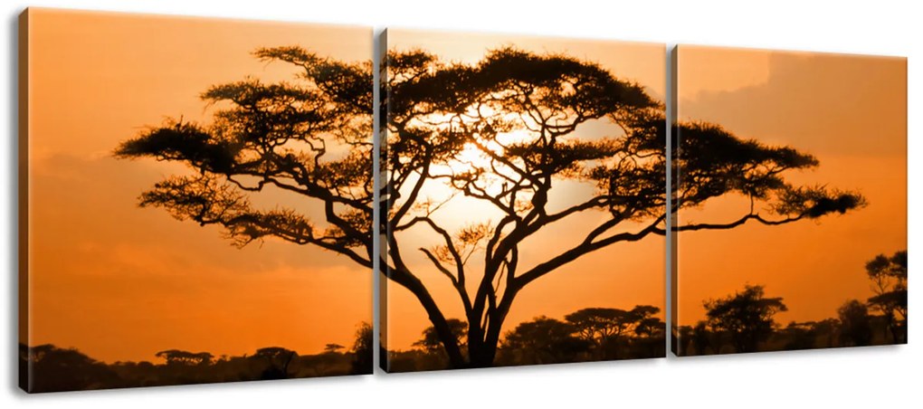 Gario Vászonkép Gyönyöru afrikai táj - 3 részes Méret: 90 x 30 cm