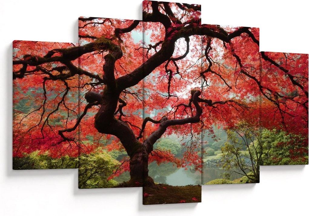 Red Japanese Maple, Portland, Oregon képe (150x105 cm)