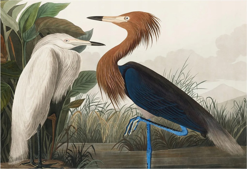 Fotótapéta Flizelin Fal a Hálószobába Madarak a növényekben 152x104 Ragasztó