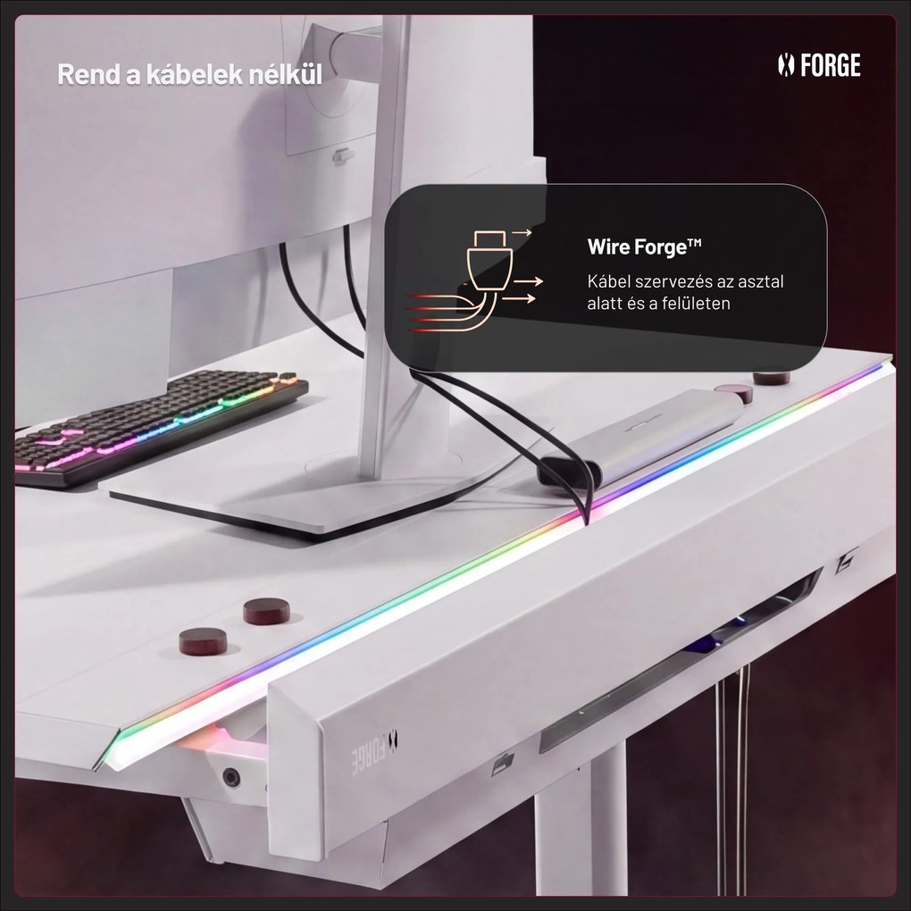 Elektromos RGB gamingasztal tartókkal, fehér, 120 cm: Diablo X-Forge 1200
