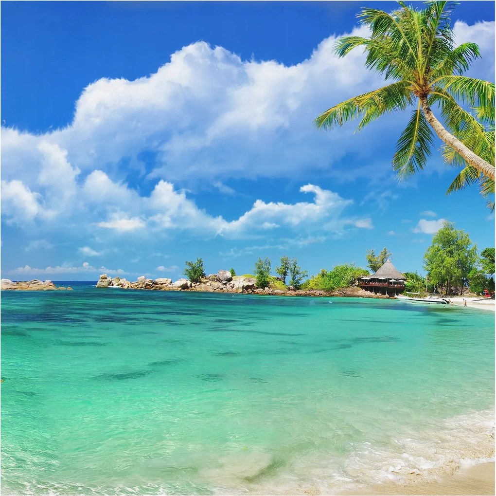 Fotótapéta Flizelina Nappali és Hálószoba Trópusi paradicsom 250x250 Ragasztó