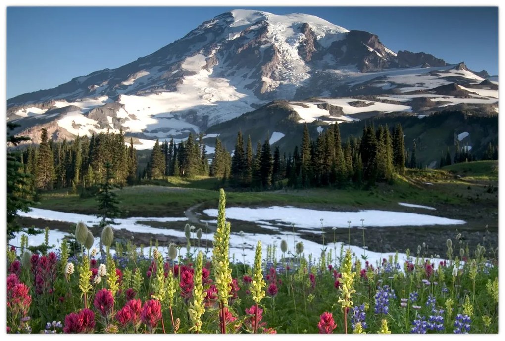 Kép - Mount Rainier (90x60 cm)