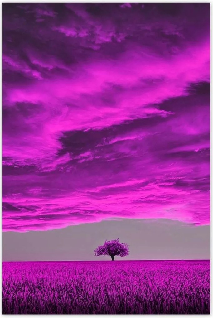 Poszterek 80x120 Lila tájkép