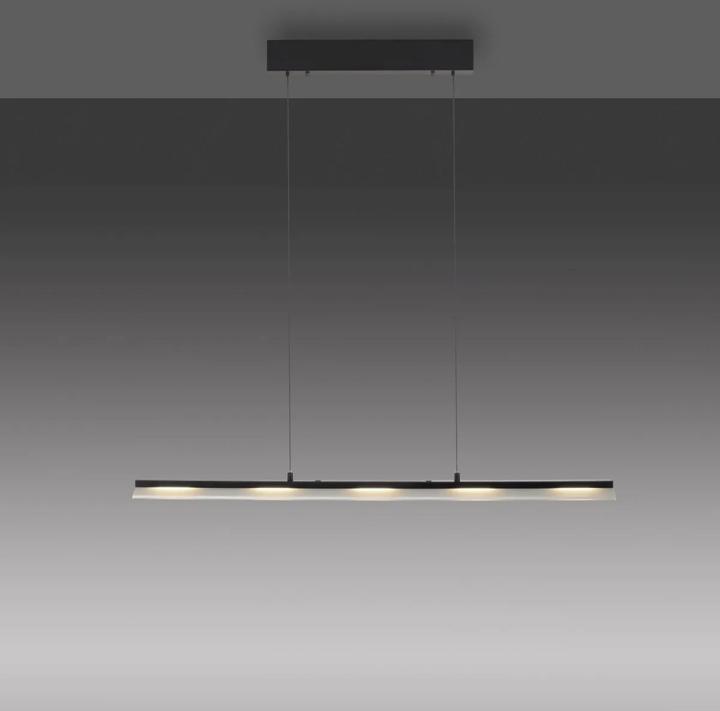 Paul Neuhaus modern függeszték nele fekete pln12288-18