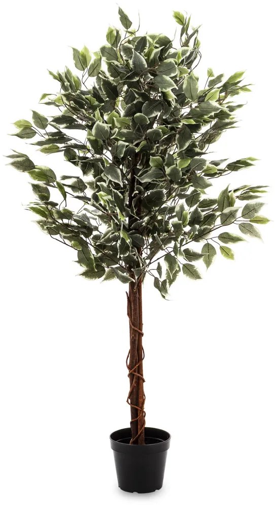 Dísznövény Ficus Műanyag Zöld 130x65x65cm-2