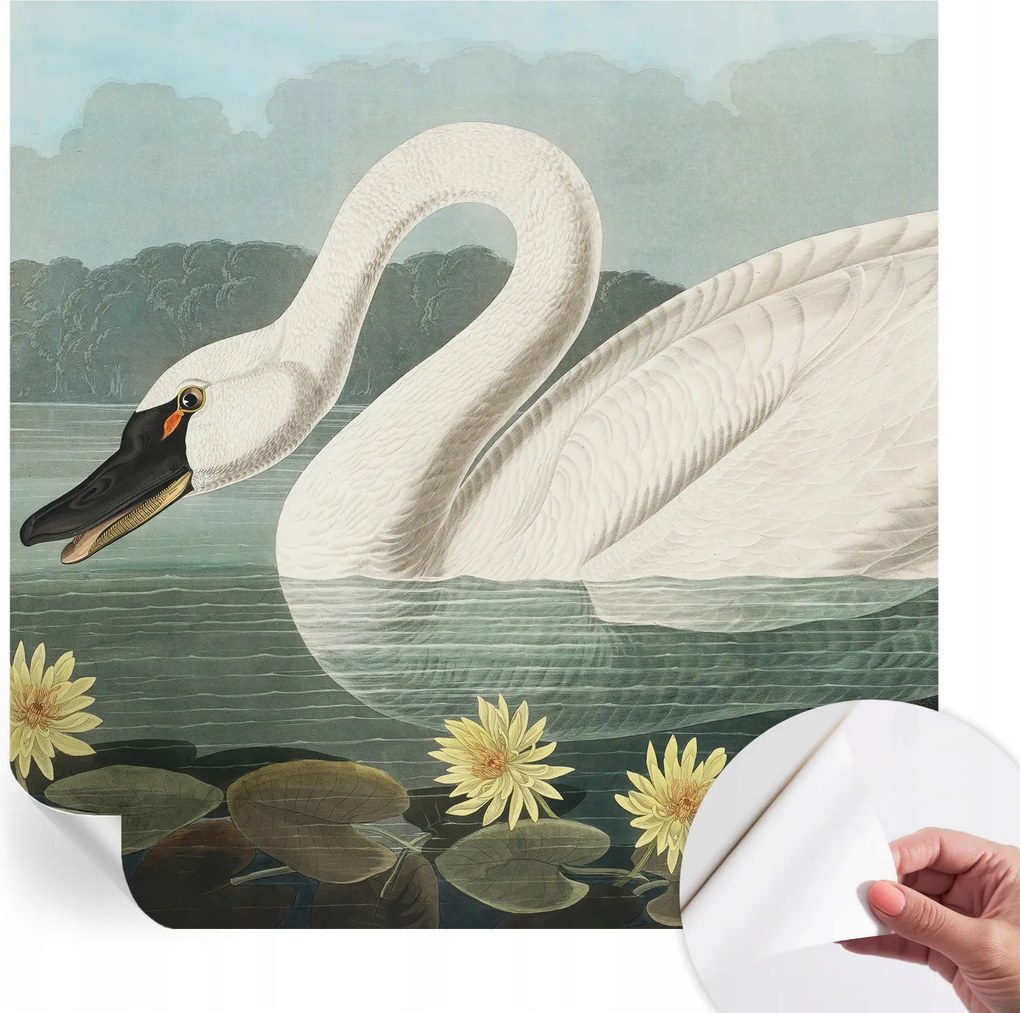 Dekoratív öntapadós fotótapéta Hálószobába Hattyú és nenufary 250x250