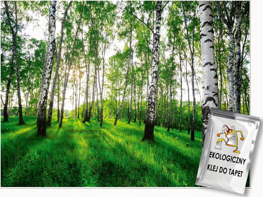 Fotótapéta Nyírfa Erdő 3D Fák Hálószoba Nappali Fali Tapéta 400x280