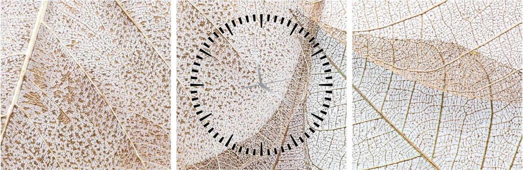 Kép - Bézs levelek (órával) (90x30 cm)