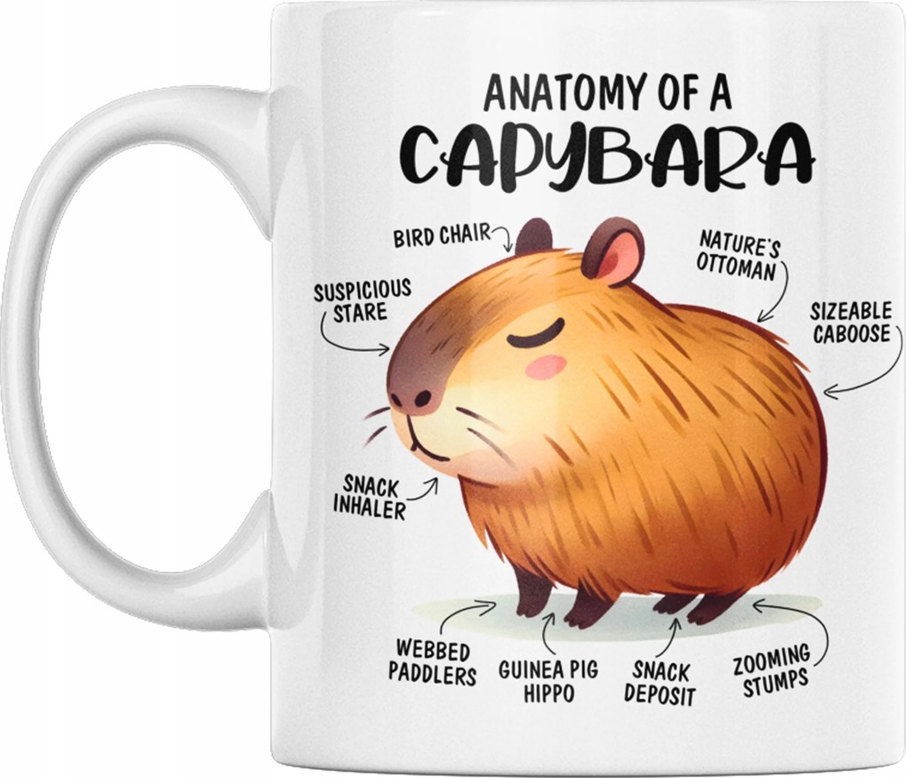 Kapibara anatómia bögre vicces Születésnapi Ajándék 330ml+ Csomagolás