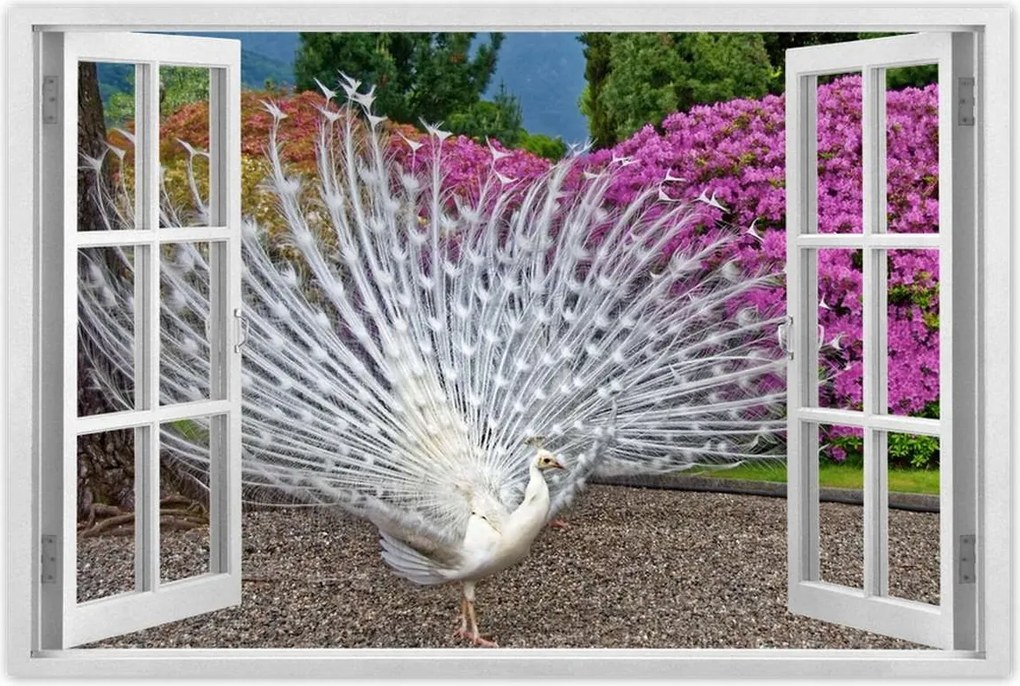 Poszterek 90x60 Madarak