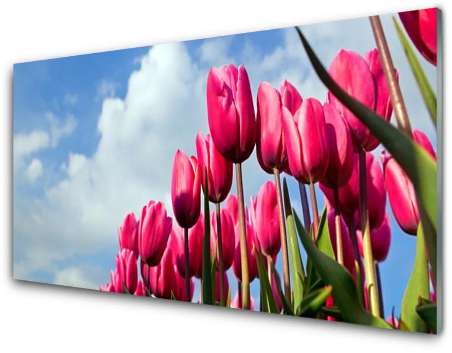 Akrilkép Tulipán Fal 140x70 cm