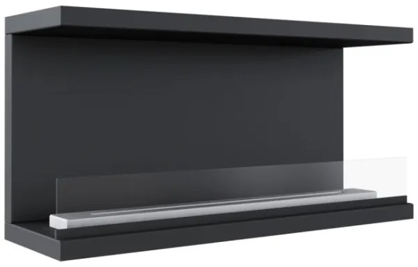 Kratki X-RAY/TUV - Beépíthető bio kandalló X-RAY 50x100 cm 3,5 kW fekete