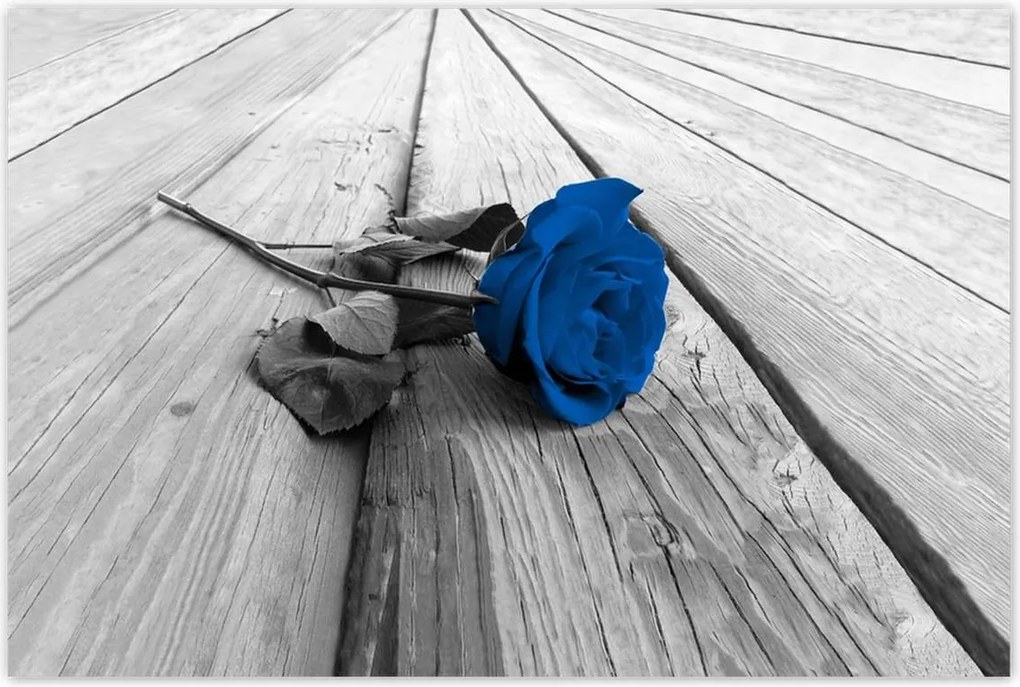 Poszterek 120x80 Kék rózsa a deszkákon