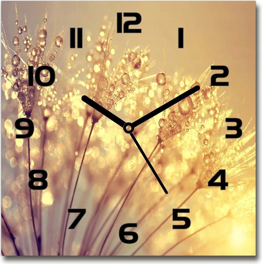 Négyzet alakú üveg falióra Pitypang mag 30x30