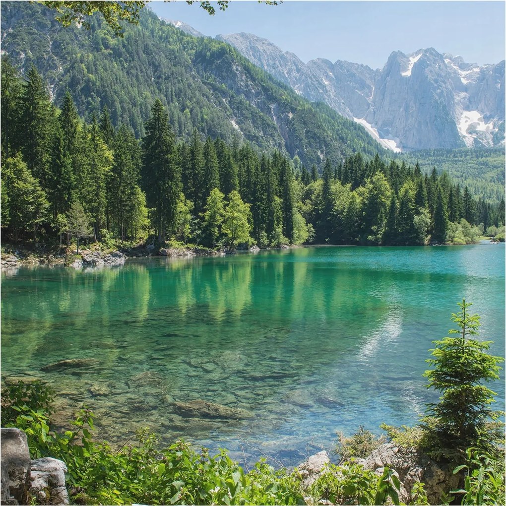 Fotótapéta Flizelin Dekoratív Hálószoba Zöld tó 250x250