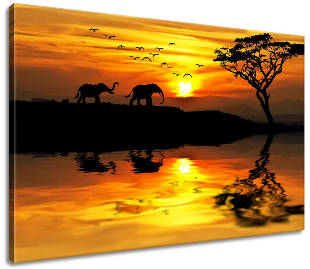 Gario Vászonkép Afrika Méret: 100 x 40 cm