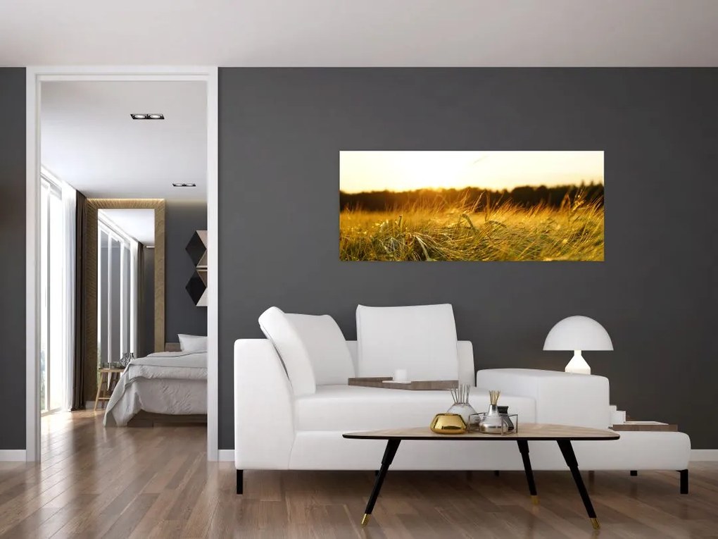 Harmatos fű képe (120x50 cm)